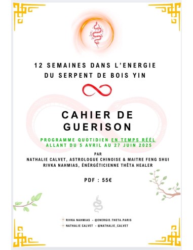 Cahier de Guérison (version électronique)